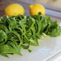 Vypěstujte si: baby mangold