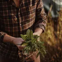 Jak připravit bouquet garni