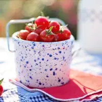 Jak zavařit rajčata na zimu