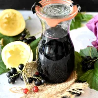 Víno z černého a červeného rybízu