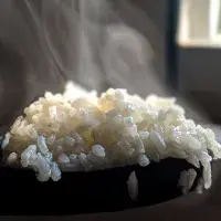 Kolik druhů rýže znáte a čím se od sebe liší?