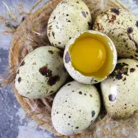 Jak připravit křepelčí vejce: Natvrdo ho stačí vařit jen pár minut, rozbíjet ho musíte jinak než slepičí