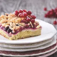 Jak zužitkovat rybíz? 30 receptů na koláče, buchty, likér, víno i džem