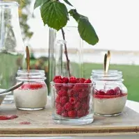 Malinové pokušení – ty nejlepší malinové dezerty