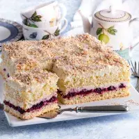 Kokosové řezy s rybízovým džemem