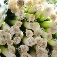 Štípe vás cibule? Nahraďte ji pórkem