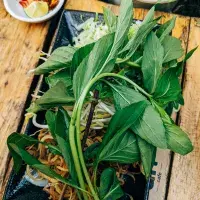 Asijské bylinky, bez kterých se vietnamské Pho či thajské kari neobejde