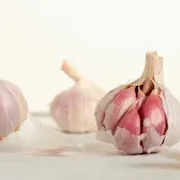 Česnek: poklad kuchyně i domácí lékárny. Kam všude se hodí a k čemu