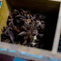 Koření pěti vůní využijete v asijské kuchyni