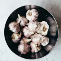 Jak správně skladovat česnek