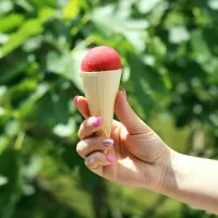 Sorbet, zmrzlina i dřeň: 4 způsoby, jak zmrazit jahody