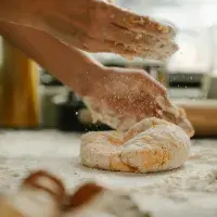 Co vše potřebujete vědět o mouce