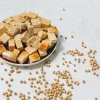 Jak obohatit jarní jídelníček o bílkoviny? Zkuste tofu i pučálku