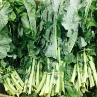 Ochutnejte v sezoně: mangold