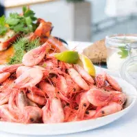 Jak nakupovat krevety