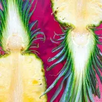 Jak poznáte zralý ananas?