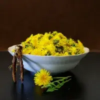 Jedlé květiny: pampelišky