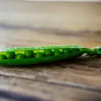 Aby hrášek zůstal zelený