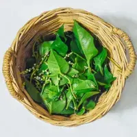 Co se zbylým špenátem