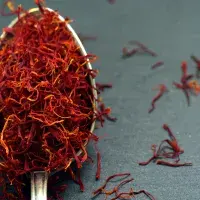 Šafrán: koření králů, jehož pěstování je jedno z nejnáročnějších 