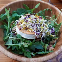 Salát s kozím sýrem a krutony