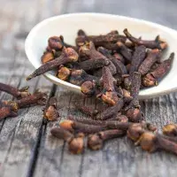 Jaké zázraky dokáže hřebíček