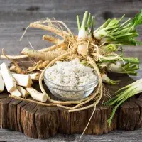 Křen od záhonu až na talíř