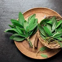 Jak používat šalvěj v kuchyni