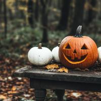 Jak vznikl Halloween, jak se slaví, jaké jsou jeho symboly a tradice?
