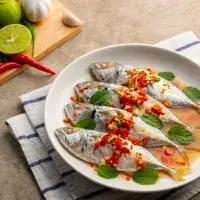 Ryby z českých řek i mořských hlubin