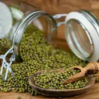 Co je vigna a jak její různé druhy využít v kuchyni?