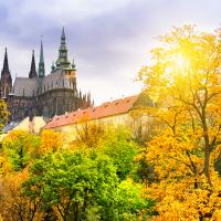 Menu z Hradu: Co se jedlo na Hradě za Masaryka a co se podává za Petra Pavla?