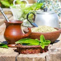 Jak se vyznáte v nápojích čajového typu?