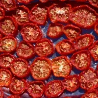 Domácí sušená rajčata: Jaká jsou nejlepší na sušení a proč?