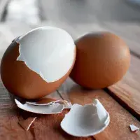 Jak snadno oloupat vejce