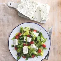 Sýrová terina s barevným salátem