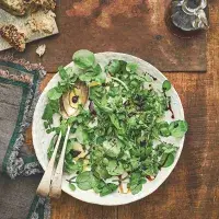 Salátové listy s balzamikovým octem