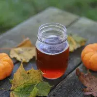 Podzimní likéry 4× jinak: Připravte si doma voňavý životabudič