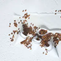 Arašídová směs s uzenou paprikou, chilli a limetou