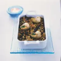 Šneci na houbovém kubovi