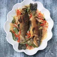 Štika na zahradnický způsob