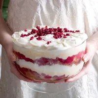 Vánoční trifle Vánoční trifle