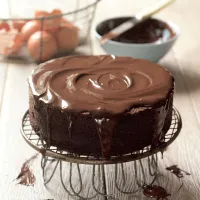 Základní čokoládový dort