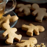 Zázvorové sušenky se zlatým sirupem