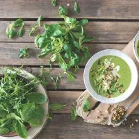 Co jíst v červnu: Jak si nejlépe vychutnat čerstvý špenát