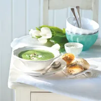 Zelená polévka Zelená polévka