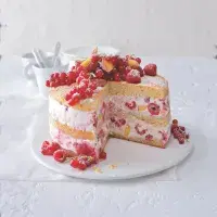 Zmrzlinový dort s ovocem