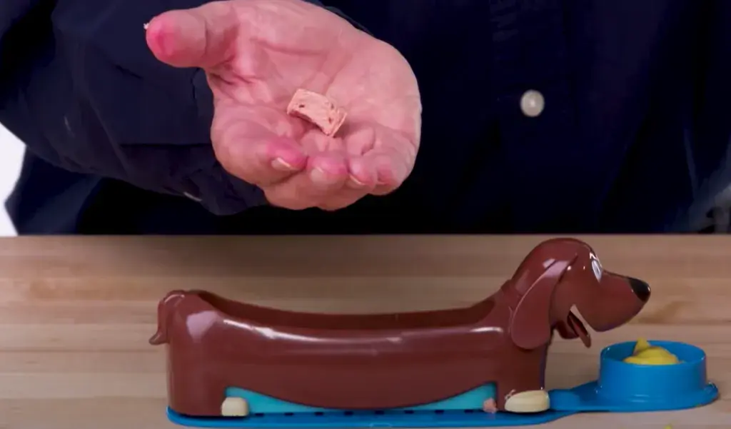 Jezevčík na krájení párků