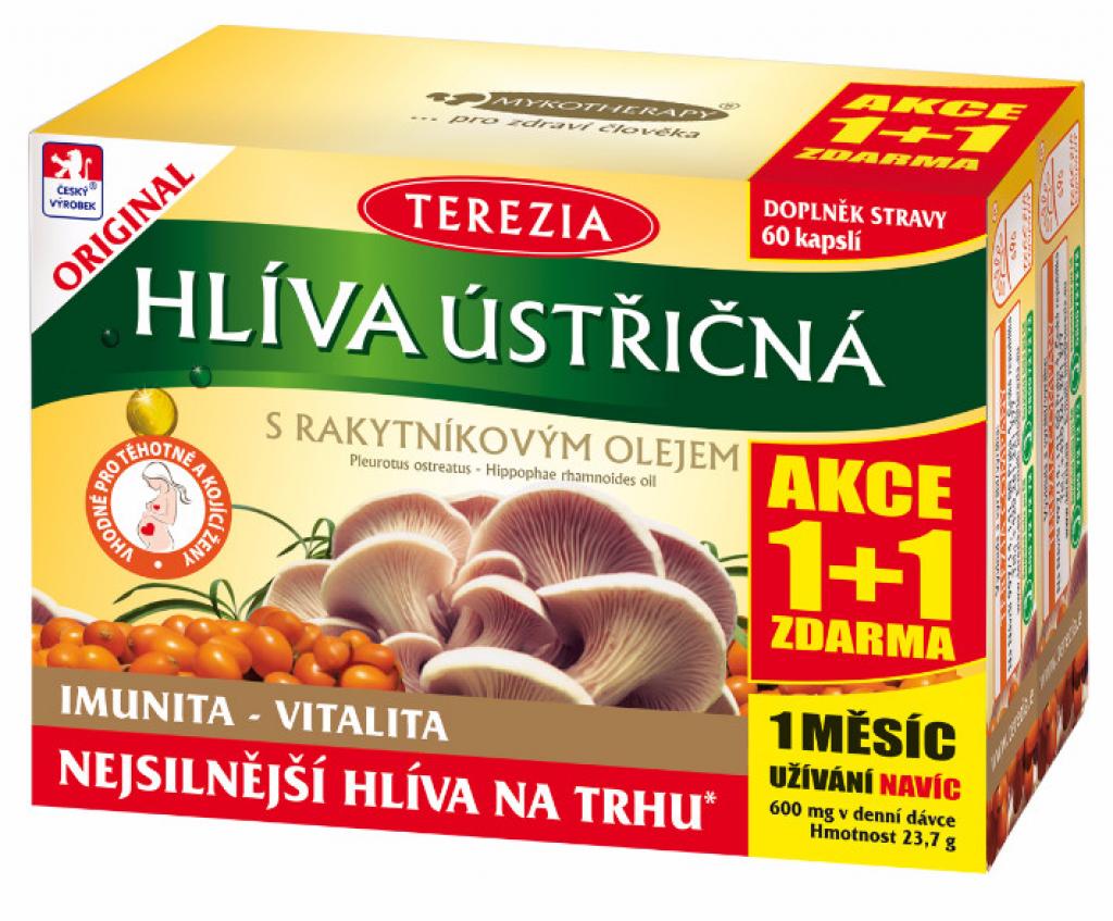 Terezia Company