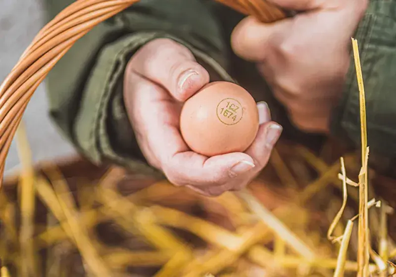 Pečlivá volba potravin dokáže zázraky. Jak začít? 